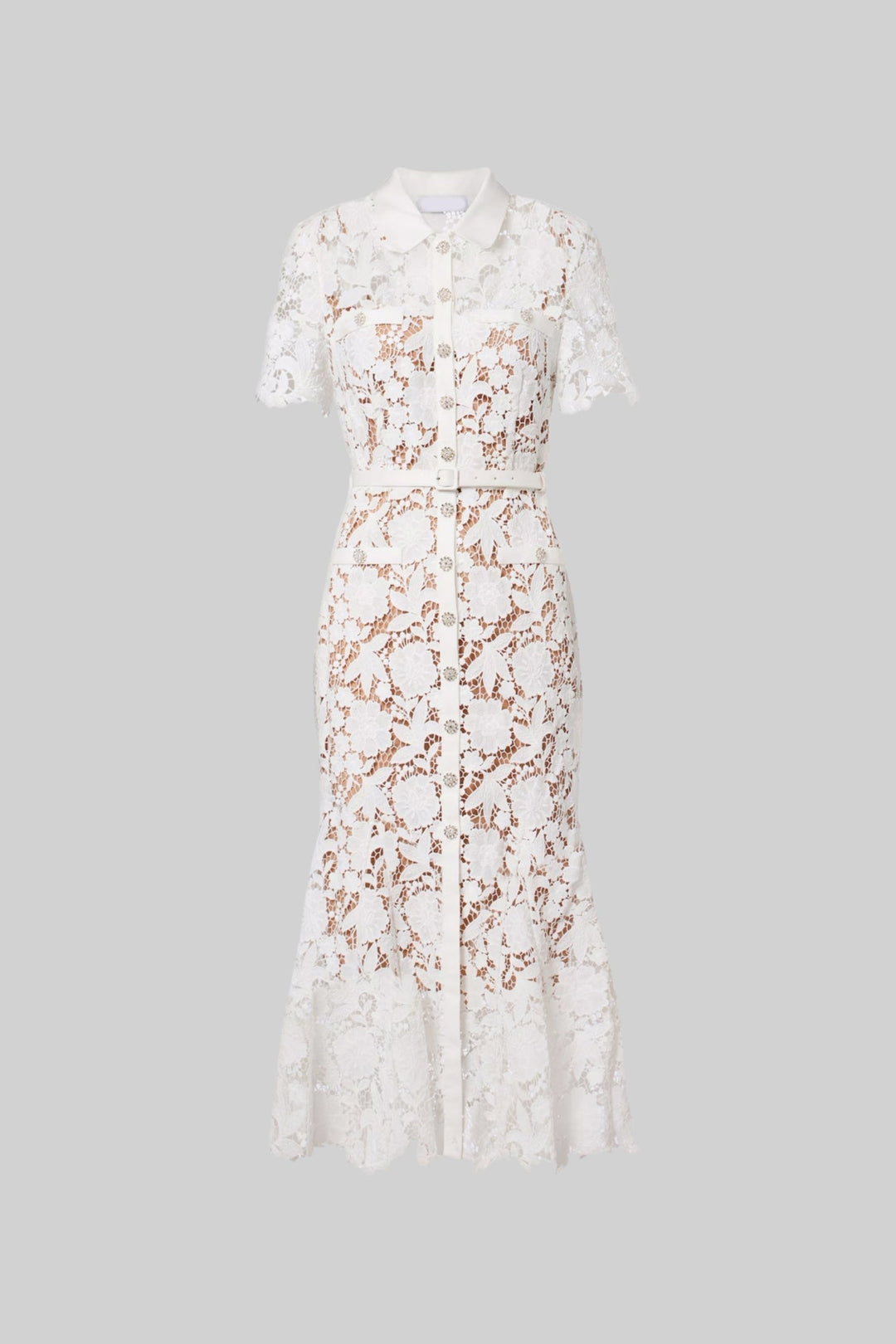 Faye | Lace Short Sleeve Belted Midi Dress